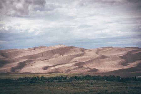 風景 海 木 砂 写真