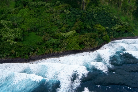 Water forest waterfall wilderness Photo