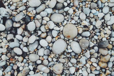 Beach rock texture stone Photo