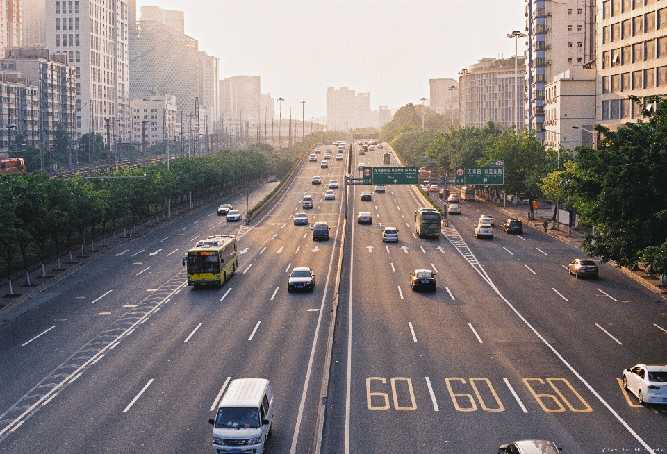 Landscape pedestrian road traffic