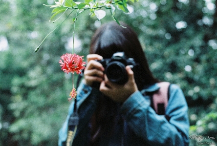 Tree forest bokeh blur Photo