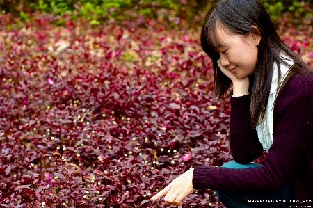 People plant girl rain Photo