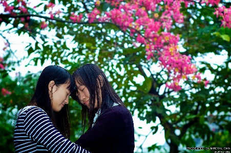 People girl photography rain Photo