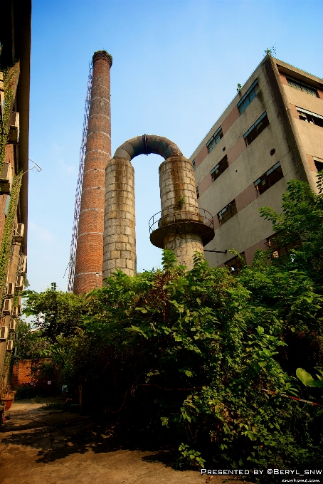 árvore criativo arquitetura céu