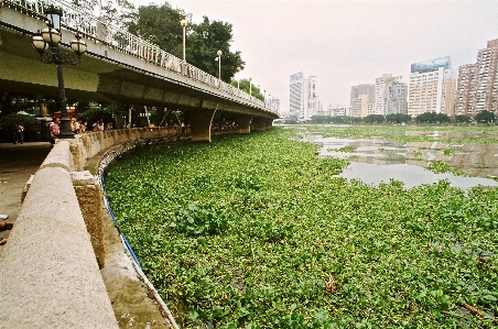 追跡 橋 カメラ レトロ 写真