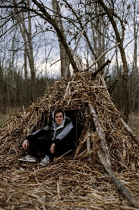 Man tree nature outdoor Photo