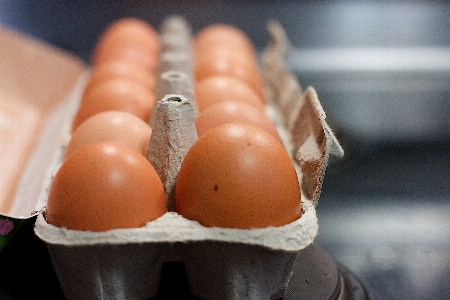 Hand food egg close up Photo