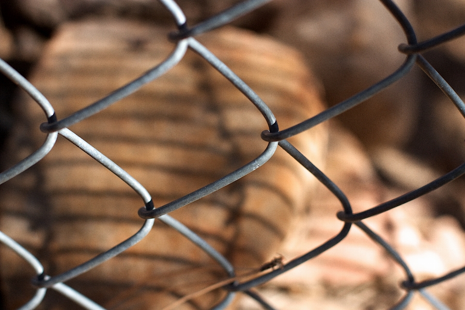 Branch light fence barbed wire