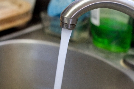 水 ガラス 食べ物 緑 写真