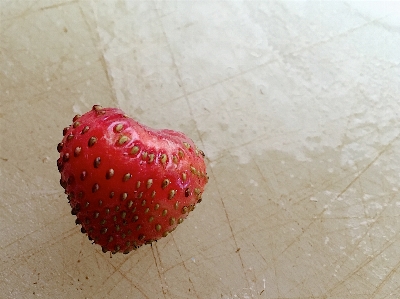 Plant fruit flower petal Photo