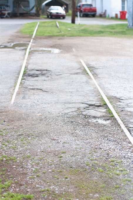 Arbre herbe piste route