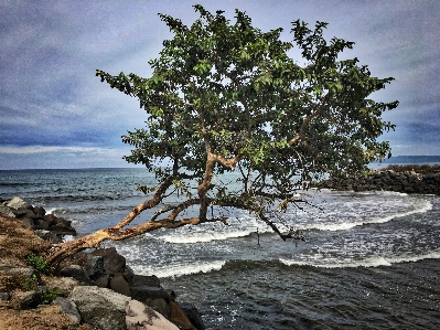 Beach landscape sea coast Photo