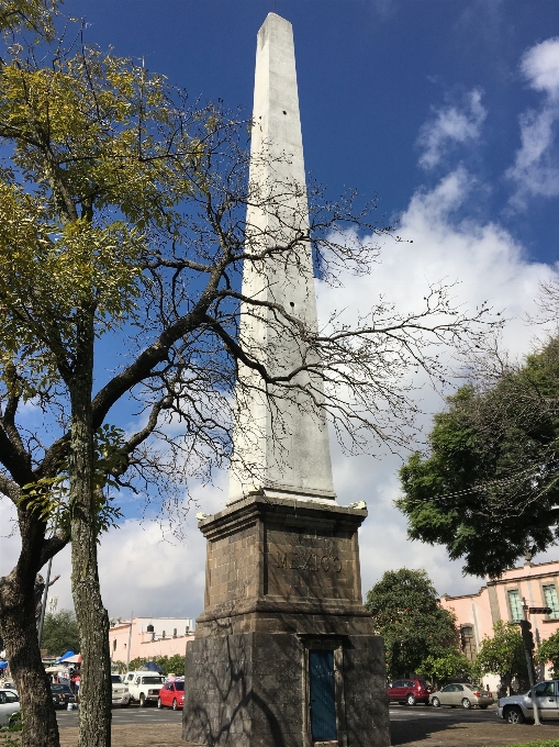 Drzewo pomnik statua wieża