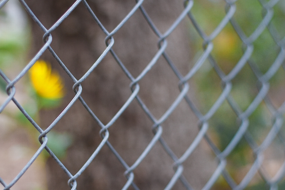 Grass branch fence plant