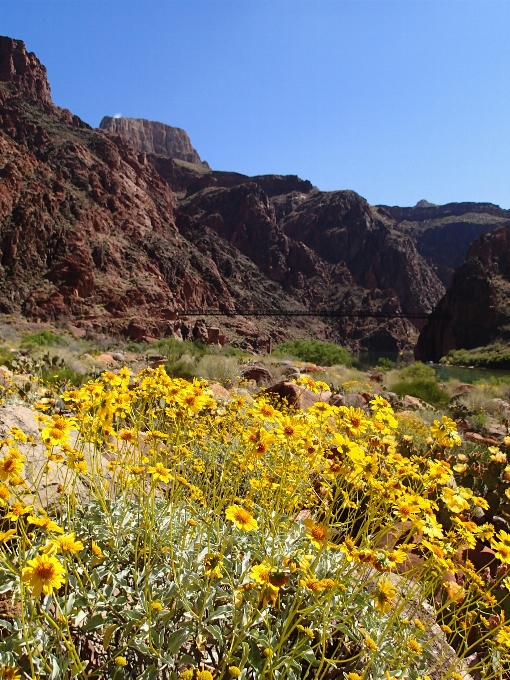 Landscape nature wilderness mountain