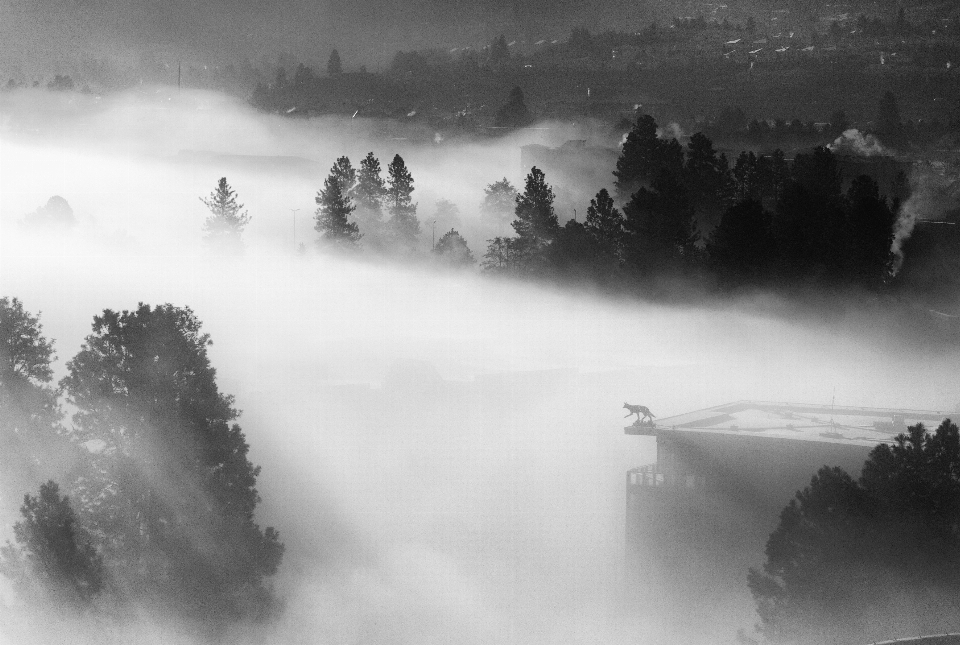 Montagne neige hiver nuage