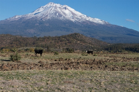 Landscape wilderness mountain meadow Photo