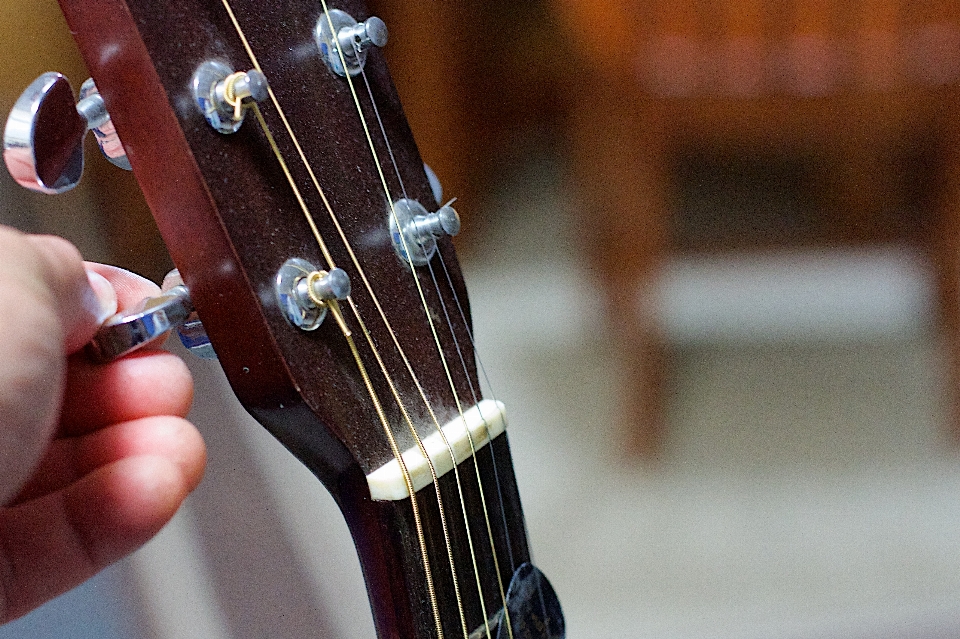 Chitarra acustica elettrica strumento musicale