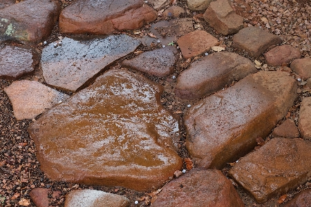 Rock wood rain food Photo