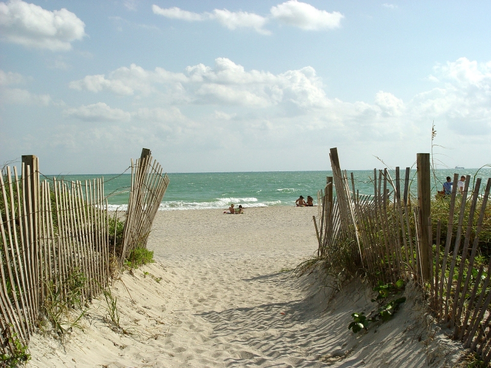 Beach landscape sea coast