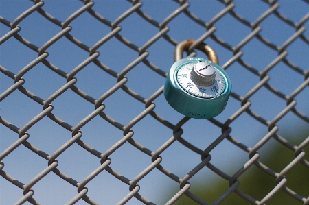 Foto Verde cerchio net maglia