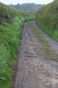 Track road trail dirt Photo