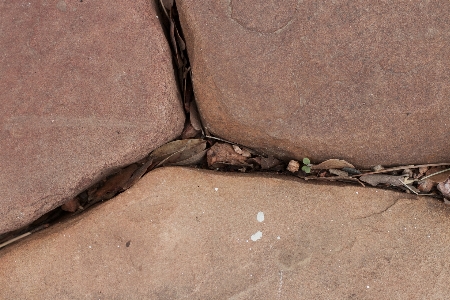 Rock wood floor wall Photo