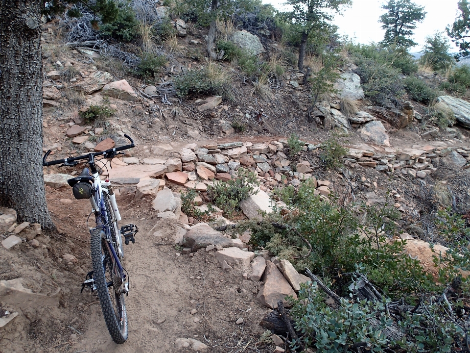 Trail soil ridge mountain bike