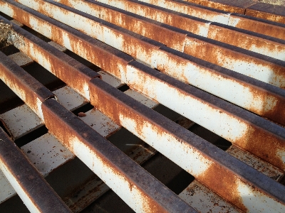 Wood floor roof wall Photo