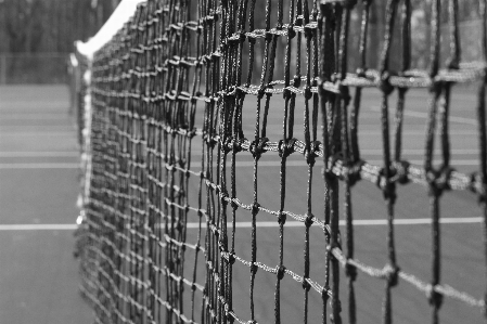 Fence black and white monochrome bw Photo