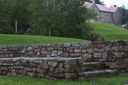 Фото дерево трава rock лужайка