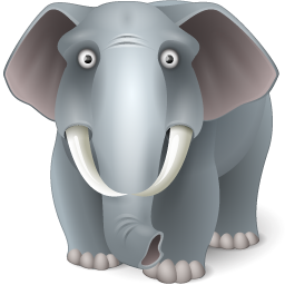 Animal, elefante