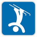 Freistil,Skifahren,Olympia Icon