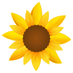 Sonnenblume, blume, natur