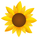 Sunflower,flower,nature Icon