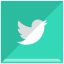 Twitter,social network Icon