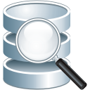 Database,search Icon