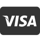 Ikona Visa