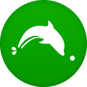 Dolphin Icon