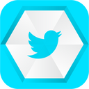 Twitter,logo Icon