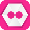 Flickr,logo Icon