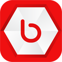 Bebo,logo Icon