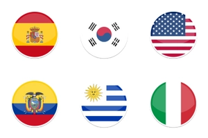 2014 World Cup Flags 