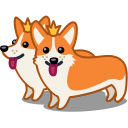 Corgi, dog, animal