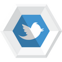 Twitter,logo Icon