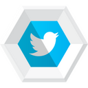 Twitter,logo Icon