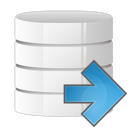 Next,database Icon