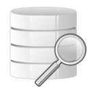 Search,find,database Icon