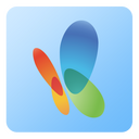 Msn,logo Icon