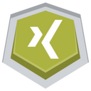 Xing,logo Icon